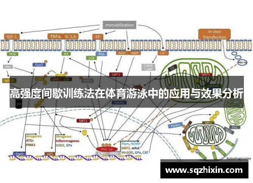 高强度间歇训练法在体育游泳中的应用与效果分析
