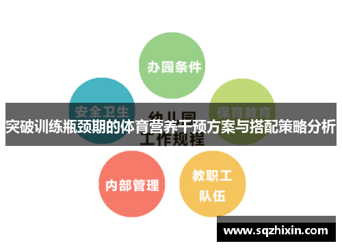 突破训练瓶颈期的体育营养干预方案与搭配策略分析