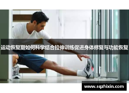 运动恢复期如何科学结合拉伸训练促进身体修复与功能恢复