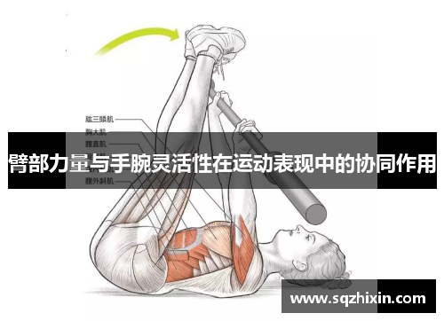 臂部力量与手腕灵活性在运动表现中的协同作用